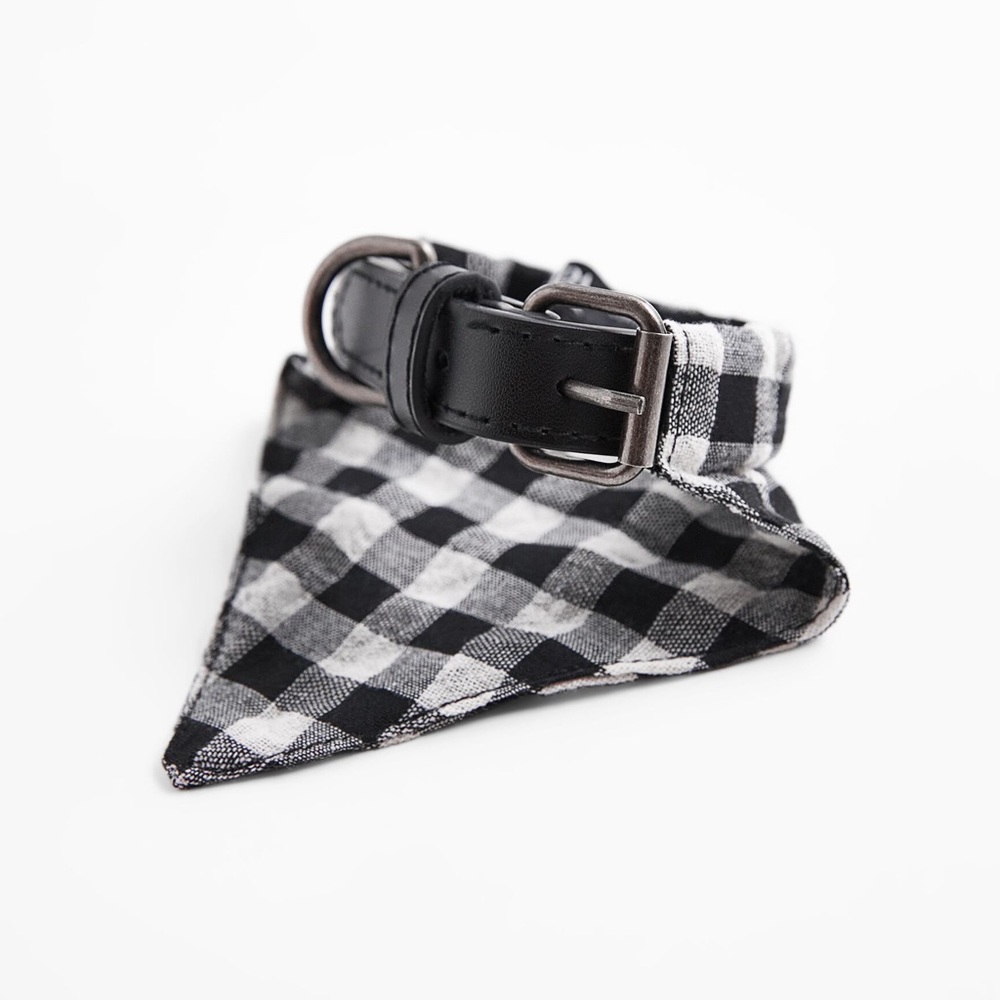 🌹NWT. Zara Pet Collection Leather Collar and Bandana.